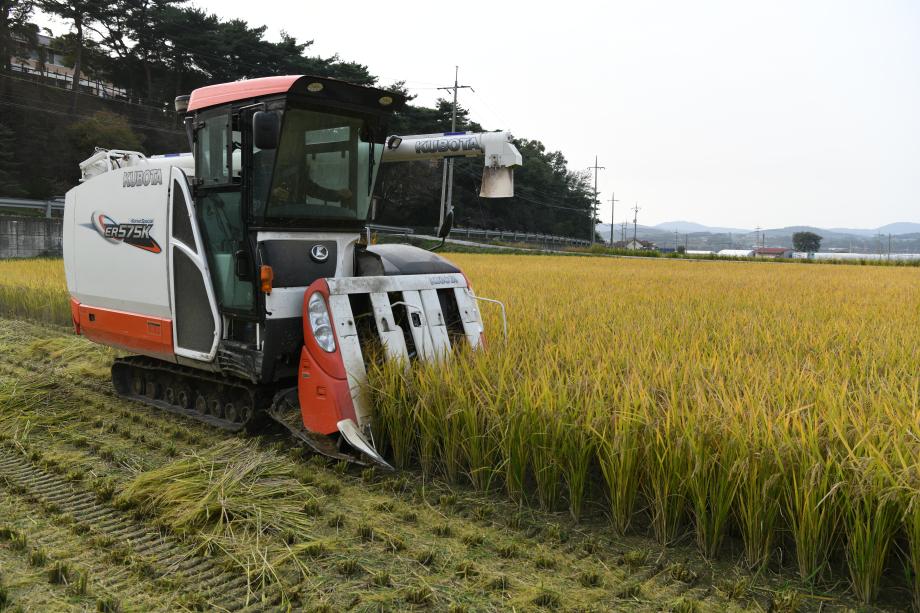 홍성군, 2022년도 농림축산식품사업 신청접수 이미지