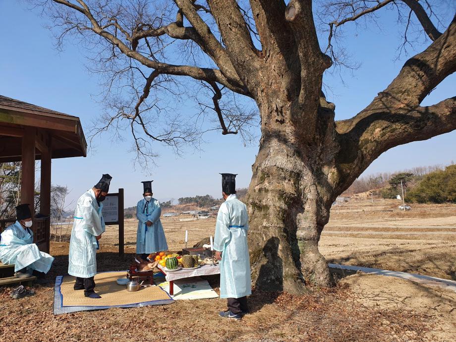 홍성군 금마면 가야마을 사천나무 마을제 봉행 이미지