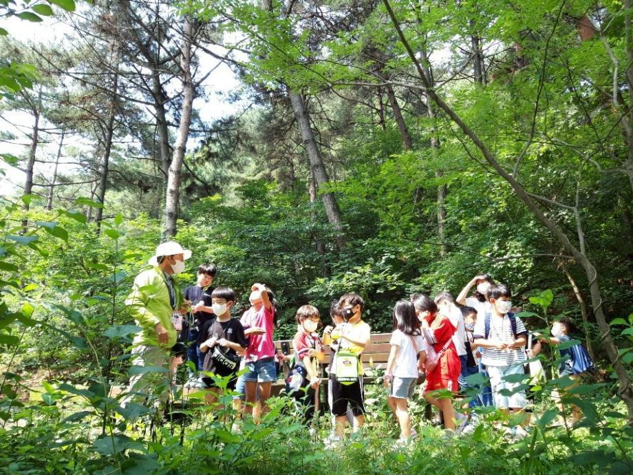 홍성군, 4월 시작하는 ‘숲 체험 프로그램’ 참가자 모집 이미지