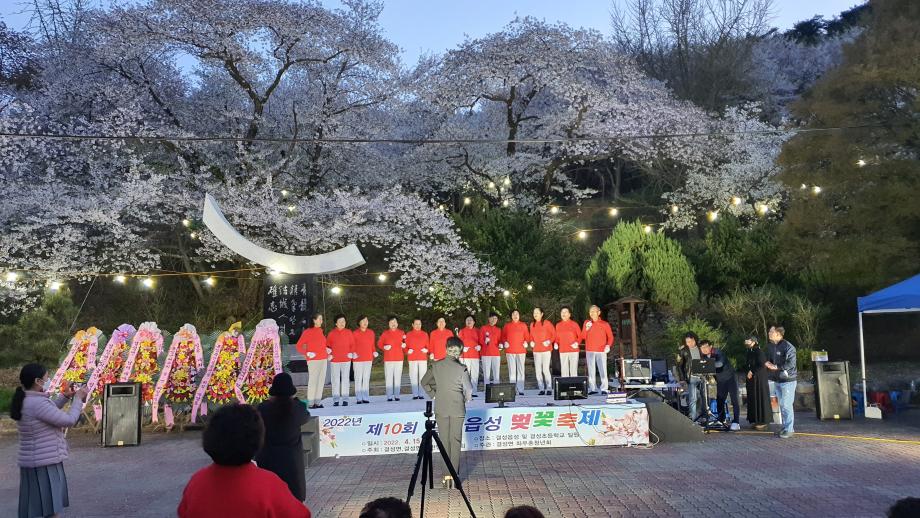 홍성군 결성면, 제10회 결성읍성 벚꽃축제 성황리에 마쳐 이미지
