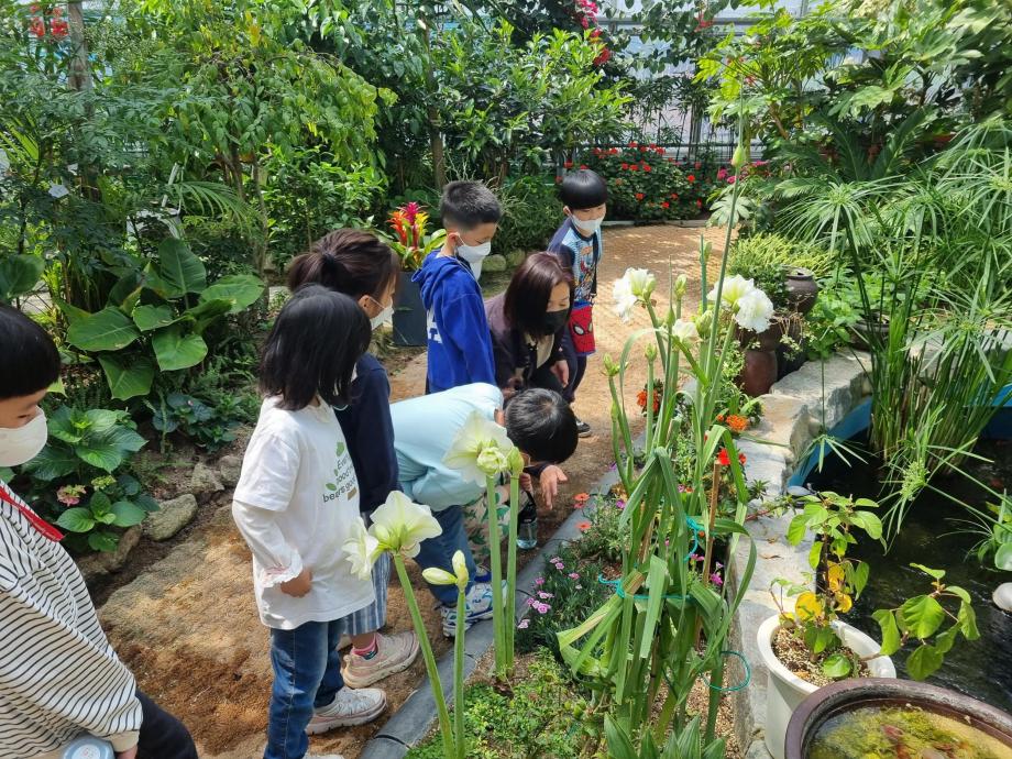 홍성군농업기술센터와 함께하는 식농학습 연계 온실체험!! 이미지