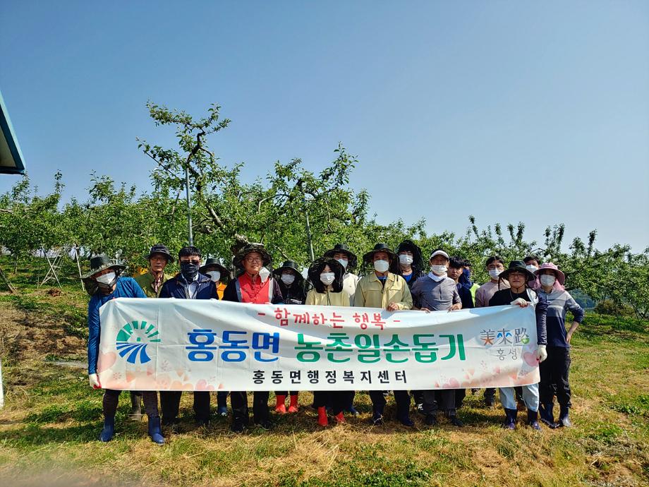 홍성군청, 행복한 동행 · 함께하는 농촌 일손돕기 봉사에 구슬땀 이미지