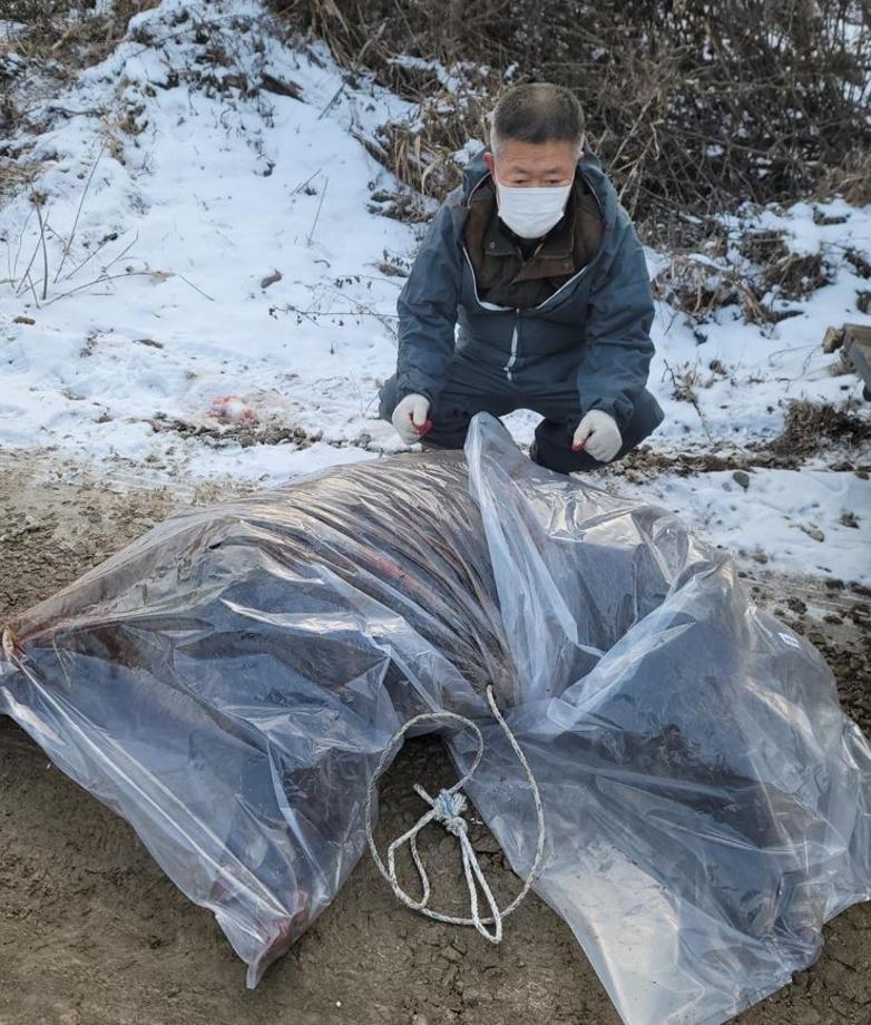 홍성군, 유해야생동물에 의한 농작물 피해 예방 총력 이미지