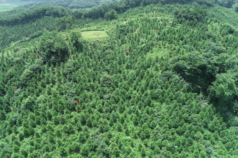 홍성군, 전국 선도 산림경영단지 평가 『매우 우수』 기관 선정 이미지