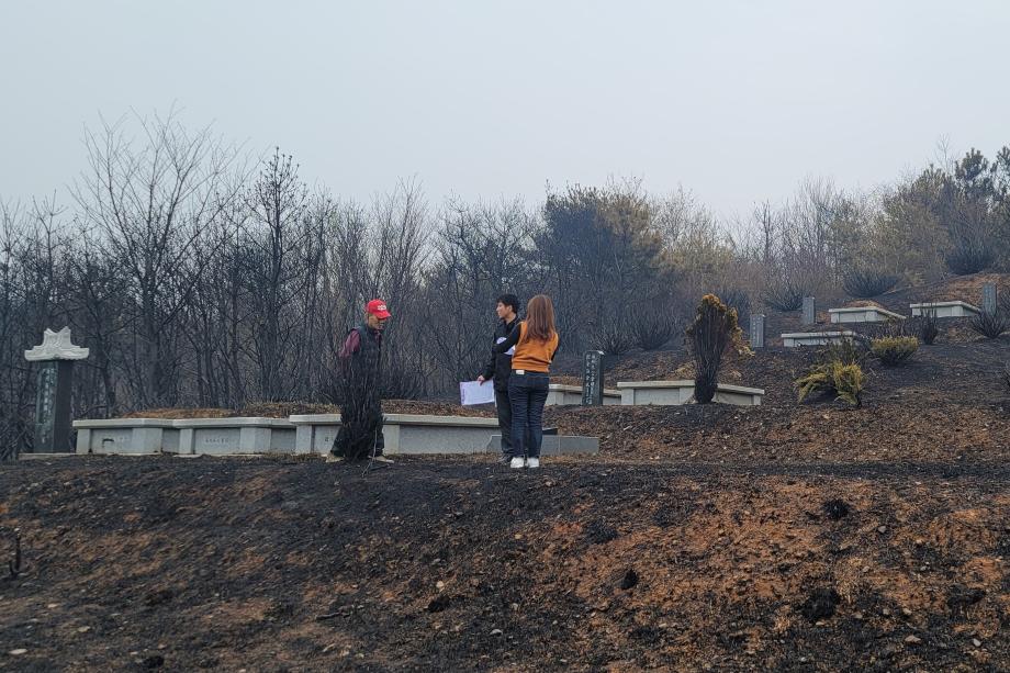 홍성군, 서부·결성면 산불 신속한 피해조사에 총력 이미지