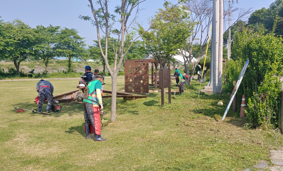 홍동면 남여 새마을지도자, 공원 및 보도블럭 제초작업 실시 이미지