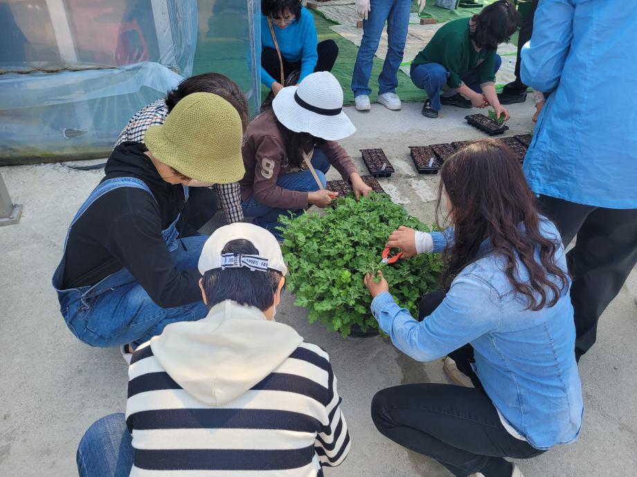 홍성군농업기술센터, ‘국화재배 분재교육’ 배움의 열기로 ‘후끈’ 이미지
