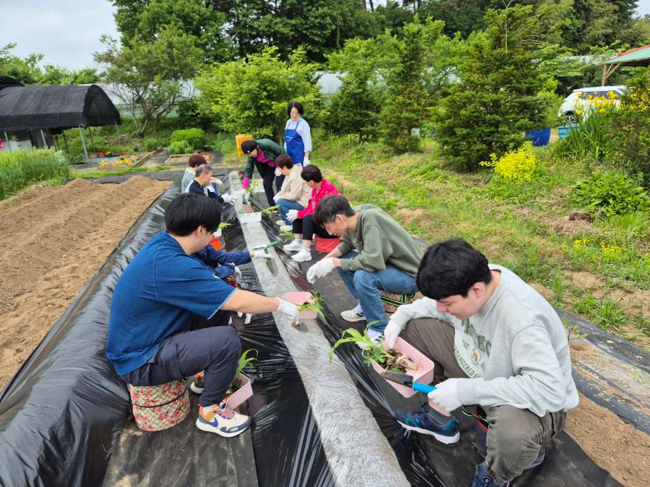 홍성군, 건강약자 대상 ‘치유농업 프로그램’ 운영 이미지