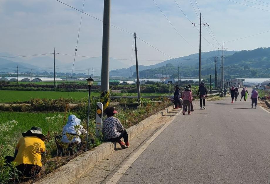 갈산면·은하면 하천변 환경정화활동 실시 이미지