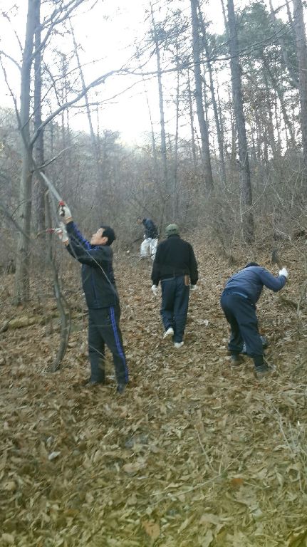 홍성군 은하면 대천리, 지기산 등산로 정비 이미지