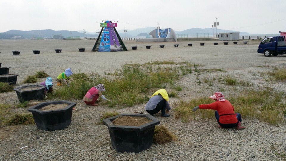 서부면, 대하축제 대비 관광객 맞이에 분주 이미지