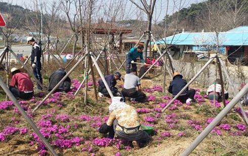 구항면, 깨끗하고 아름다운 농촌？구항 만들기 앞장 이미지