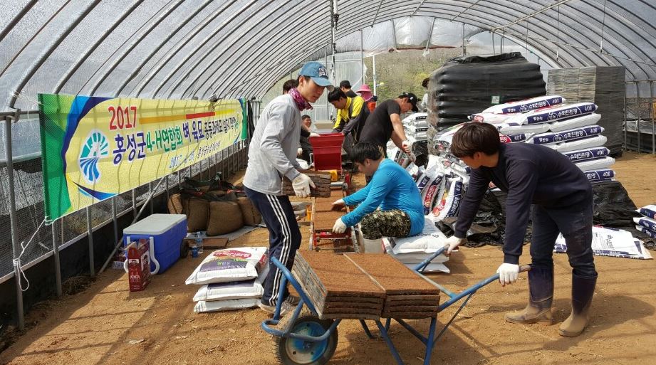 홍성군 농업인 단체, 벼 육묘 공동과제 활동 실시 이미지