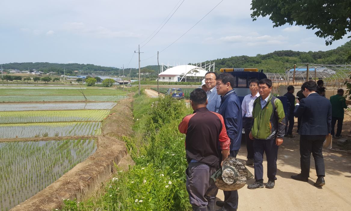 하광학 홍성군 부군수, “가뭄현장 점검나서” 이미지