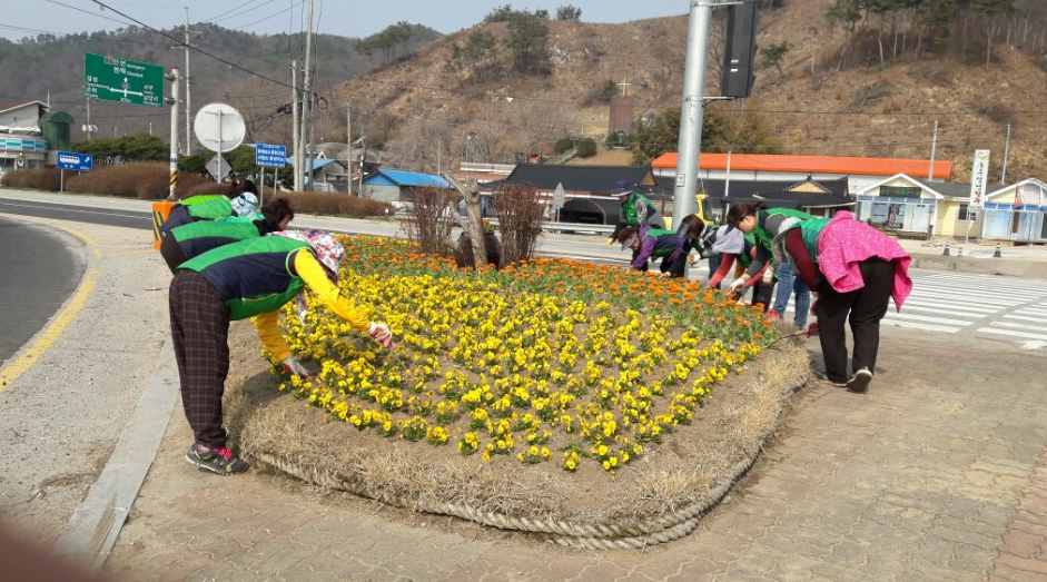 바른 지역사회 만들기 앞장서는 갈산면 ! 이미지