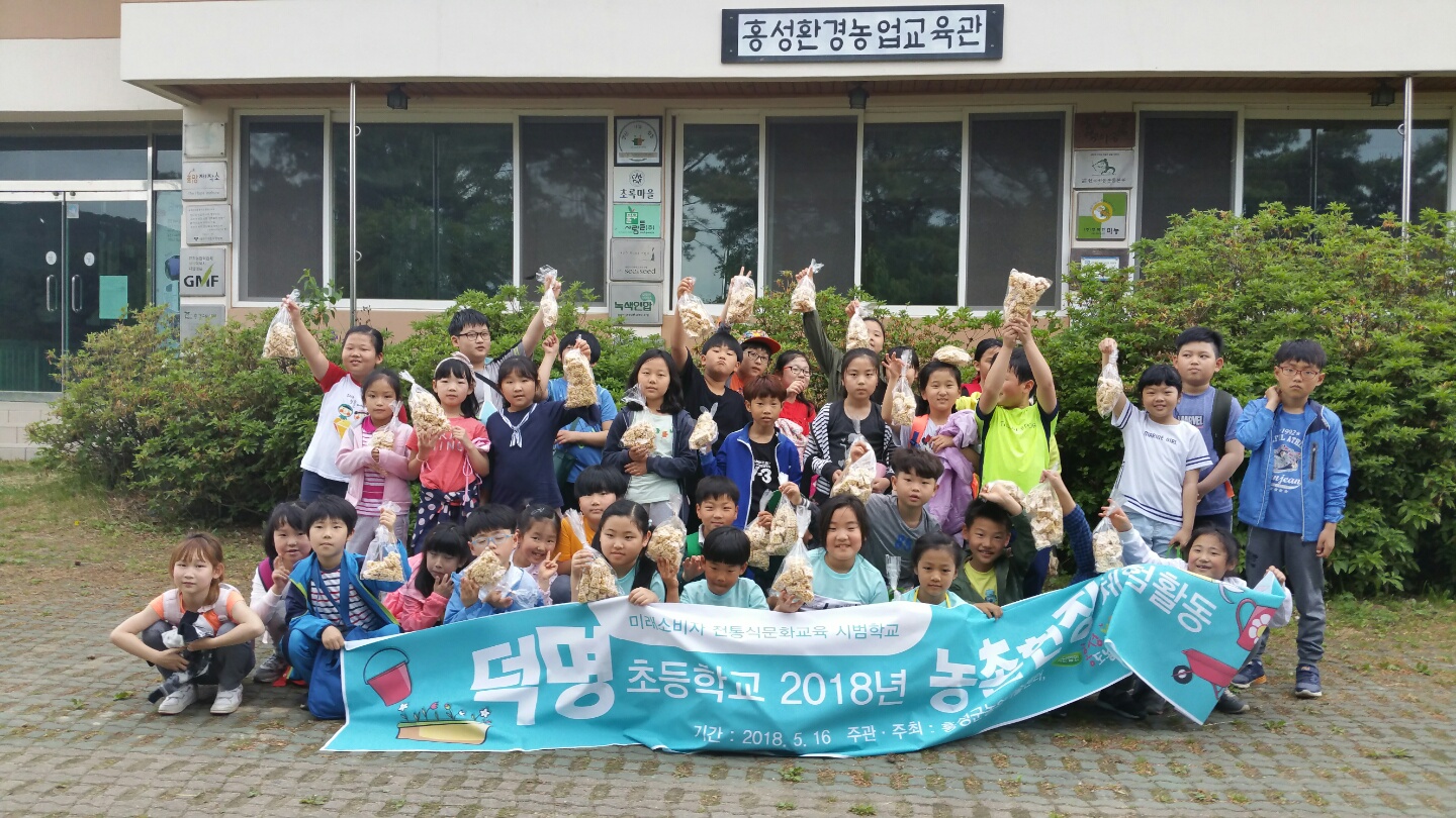 홍성군, 5개 초등학교 전통식문화 교육 시범사업 본격 추진 이미지