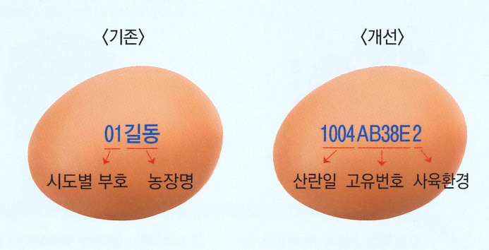 홍성군, 축산물(달걀껍데기) 표시기준 적극 홍보 이미지