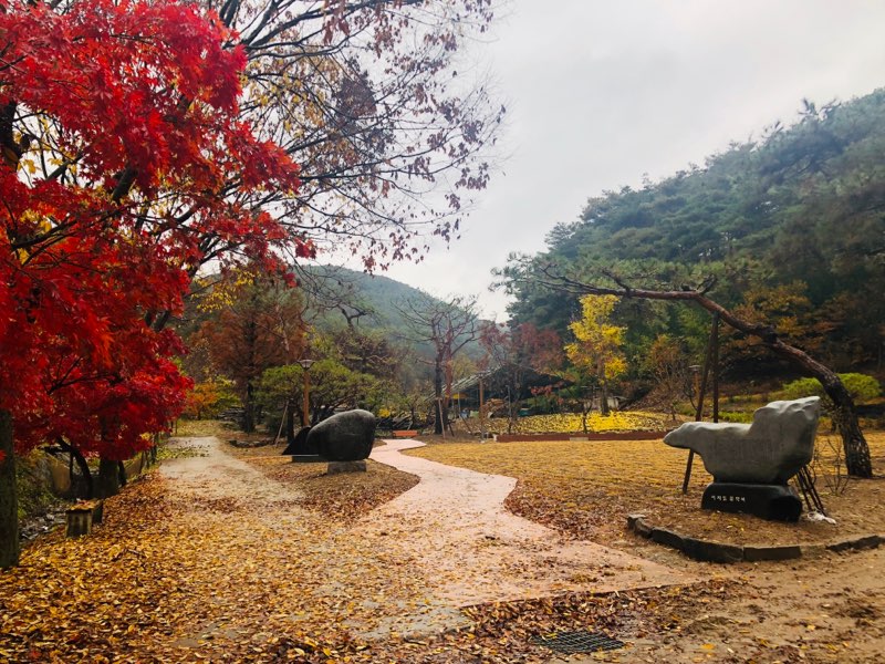 녹색공원이 있는 장곡면 산성리 사운고택으로 놀러오세요∼! 이미지