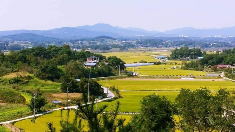 친환경농업의 메카 홍성군, 농업환경보전 프로그램 공모사업 선정! 이미지