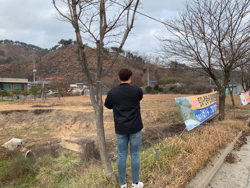 홍성군, 가로수 및 공원 내 불법광고물 철거 이미지