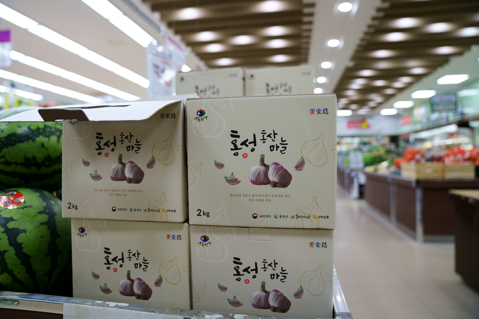 신품종 국내산 홍성군 ‘홍산마늘’, 국내 마늘시장에 ‘도전장’ 이미지
