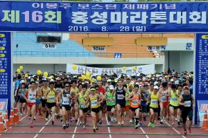 (2016.8.28) 제16회 홍성마라톤대회