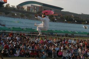 2006 홍성 내포사랑큰축제