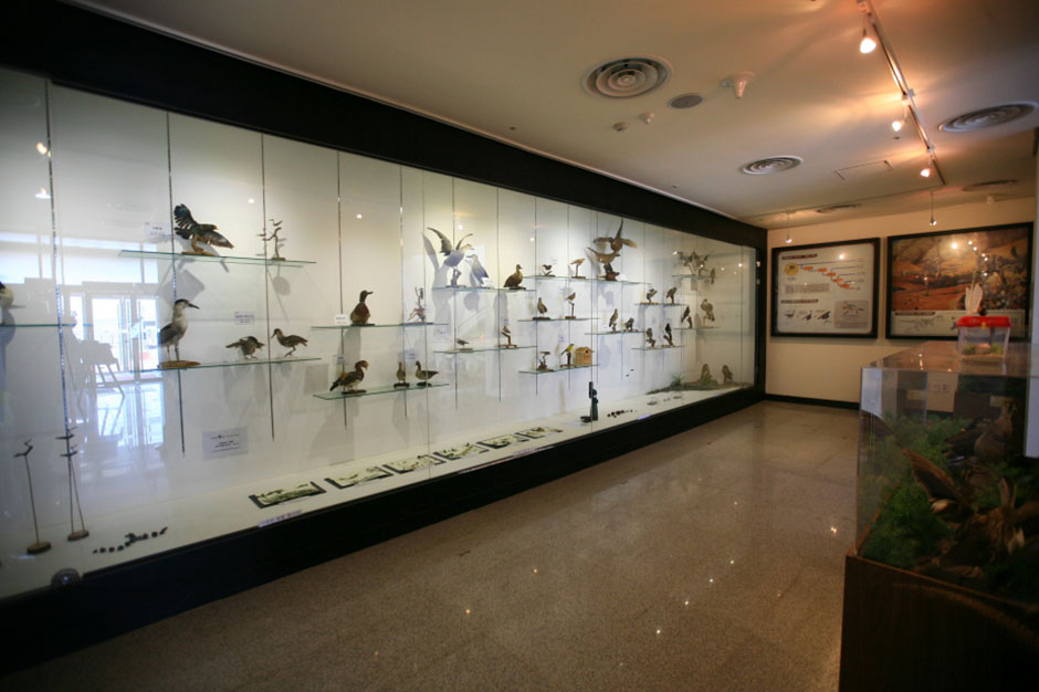 鳥類探査科学館 2