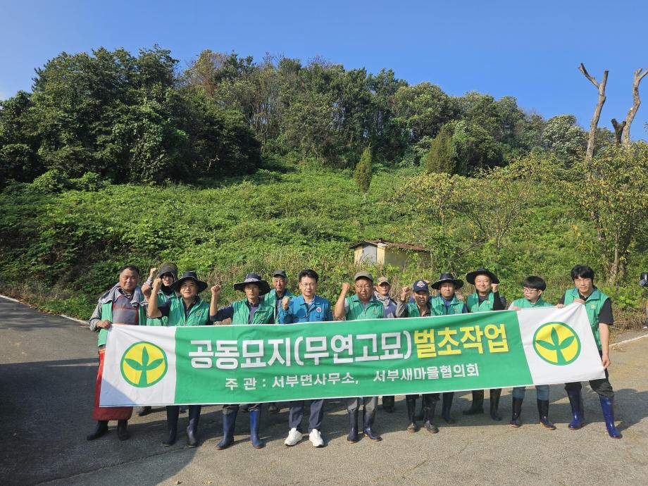 5일 (한가위 맞아 홍성군 곳곳에서 무연분묘 벌초 실시)_서부면