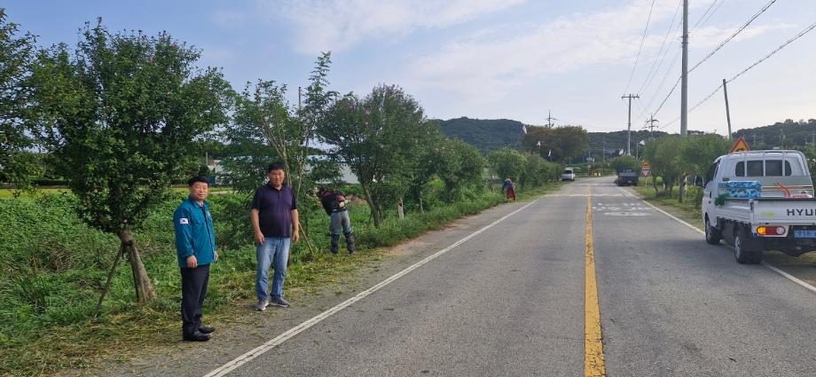 5일 (홍동면·결성면 남여새마을지도자회 마을 제초작업 실시)_결성면