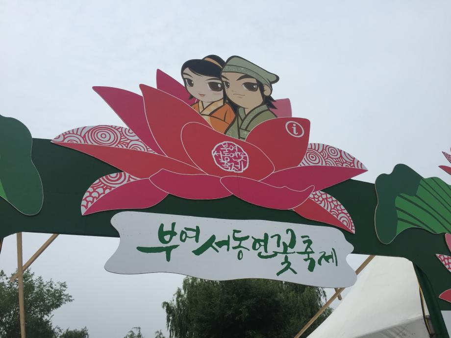 [2017] 선진지견학 부여연꽃축제(7월) 이미지